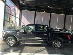 فۆرد F-150